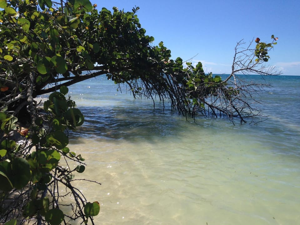 Natural landscape, Beach