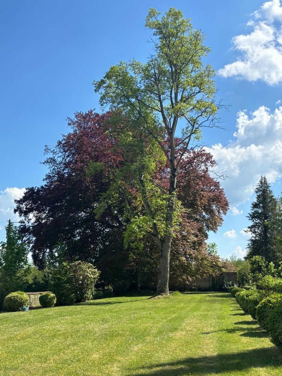 Château du Mesnil Soleil , domaine de charme et chambres d'hôtes House in Normandy