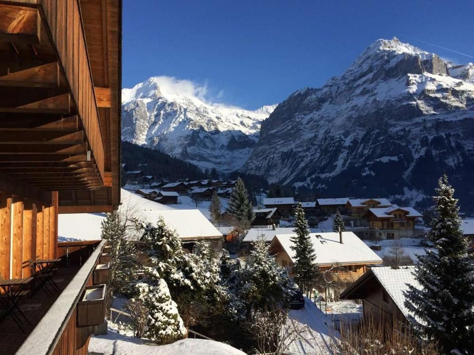 Winter, Mountain view