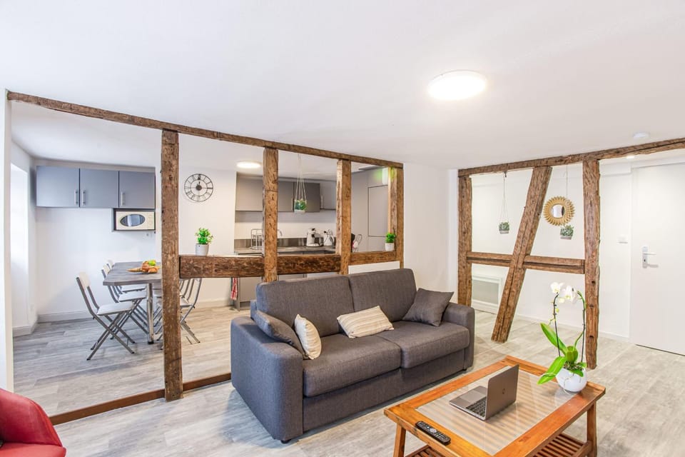 Ideal location Colmar Center- 6p Apartment in Colmar
