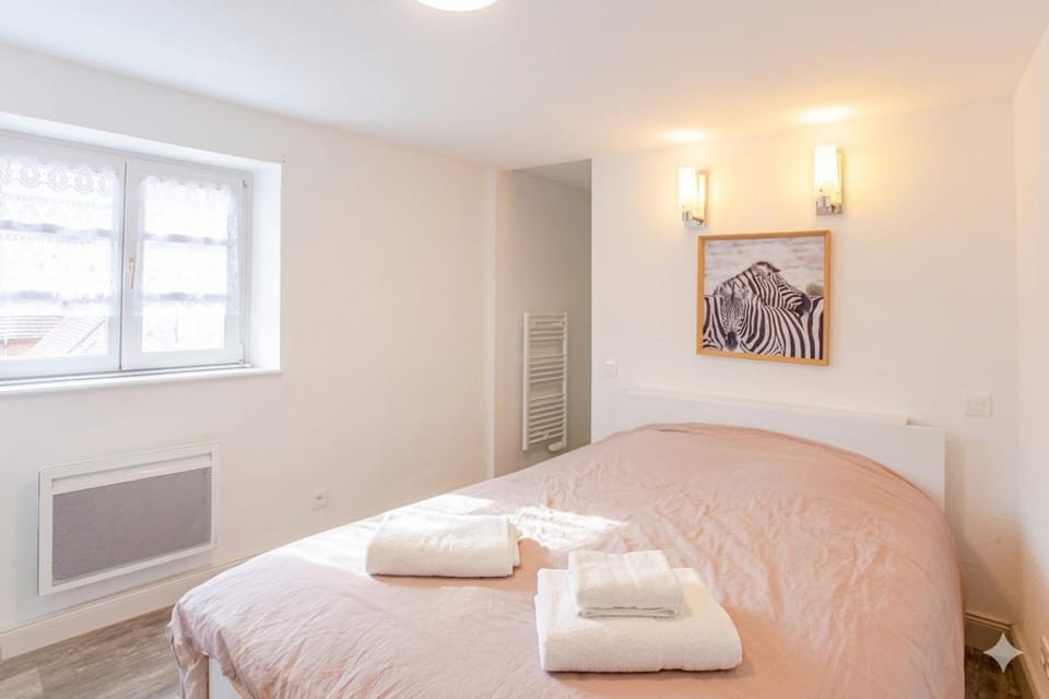 Ideal location Colmar Center- 6p Apartment in Colmar
