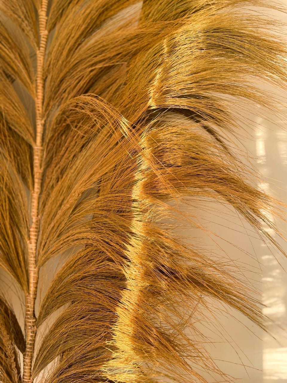 Decorative detail