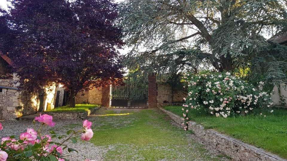 Garden, Garden view, Parking