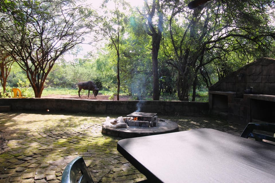 Natural landscape, BBQ facilities, Garden view