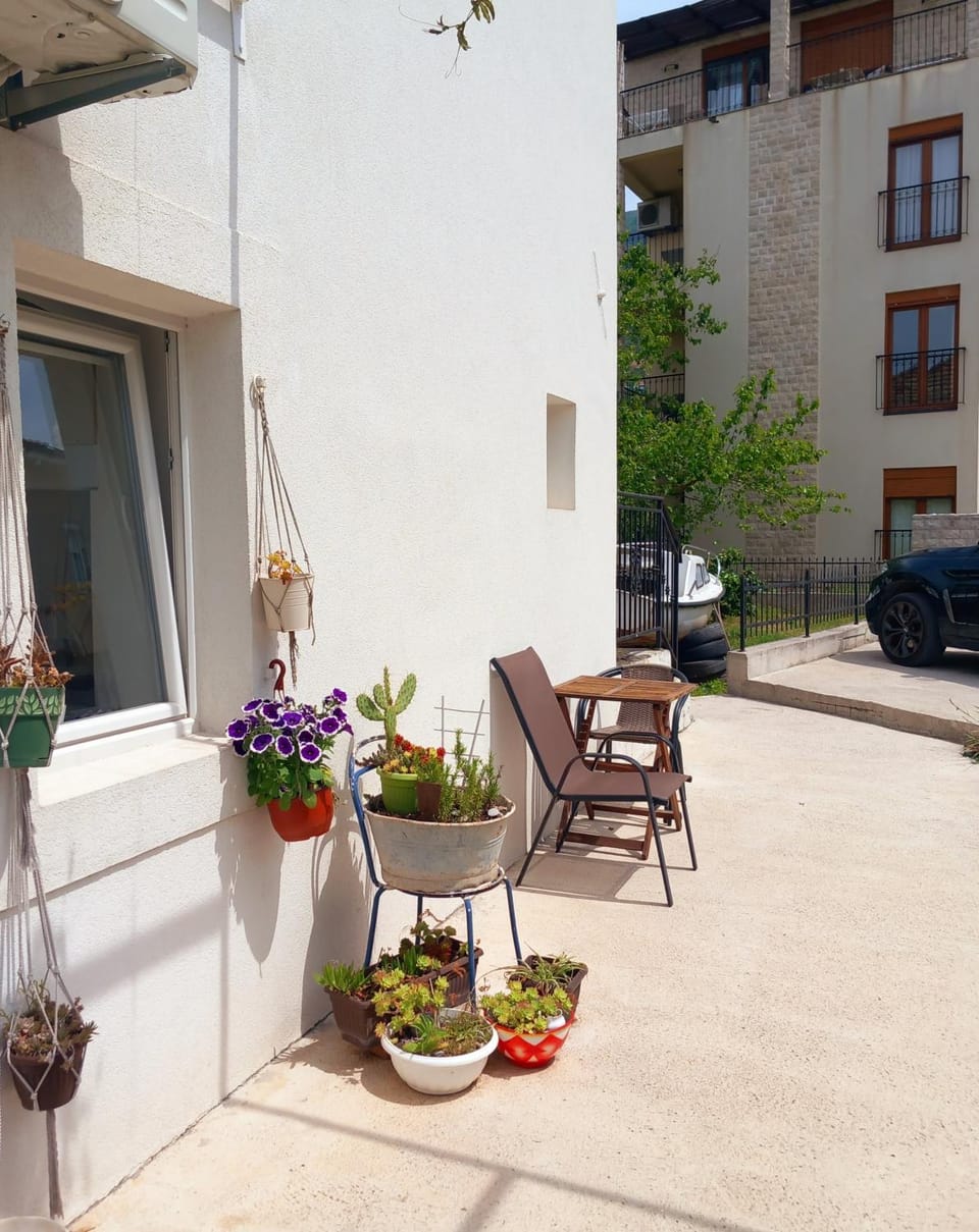 Old marine house Apartment in Kotor Municipality