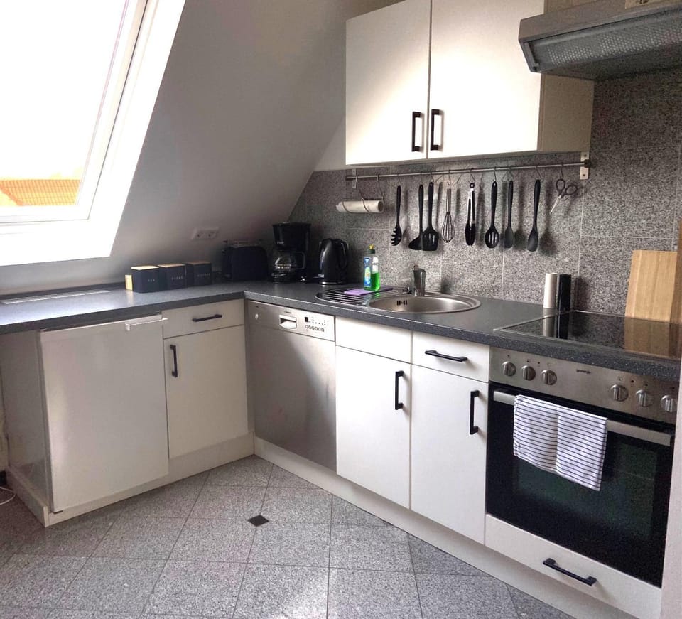 Kitchen or kitchenette, dishwasher, minibar, pet friendly, stove