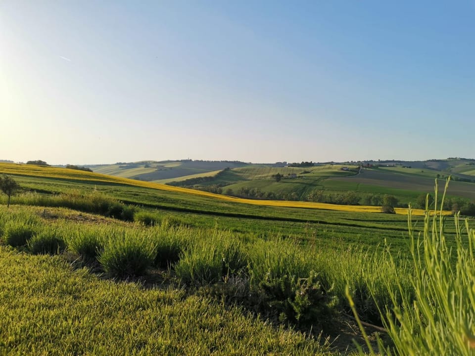 Villa Saltregna Villa in Marche