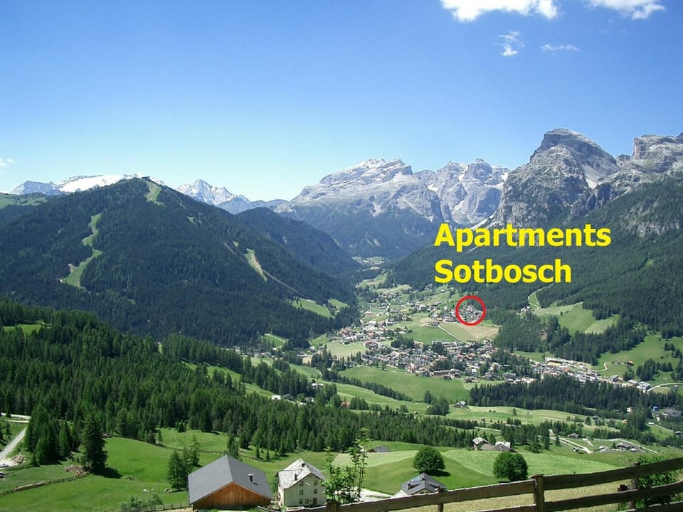 Summer, Area and facilities