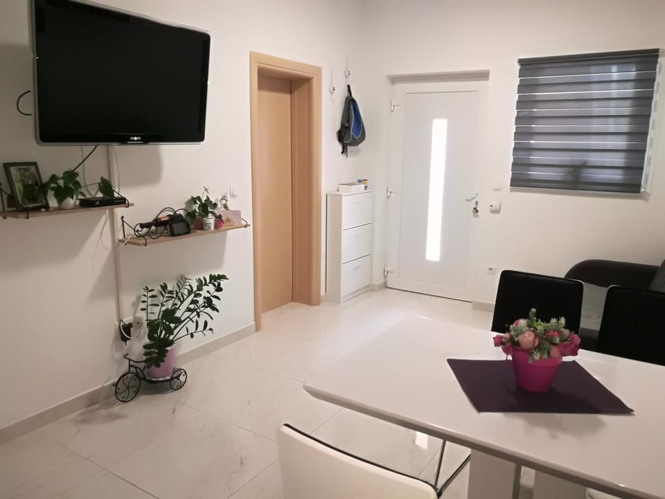 Communal lounge/ TV room, Summer, Living room, Decorative detail, Seating area, Dining area