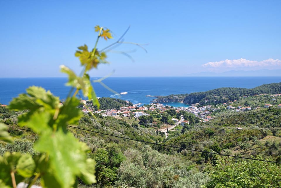 Angel Sunset suite House in Sporades, Greece