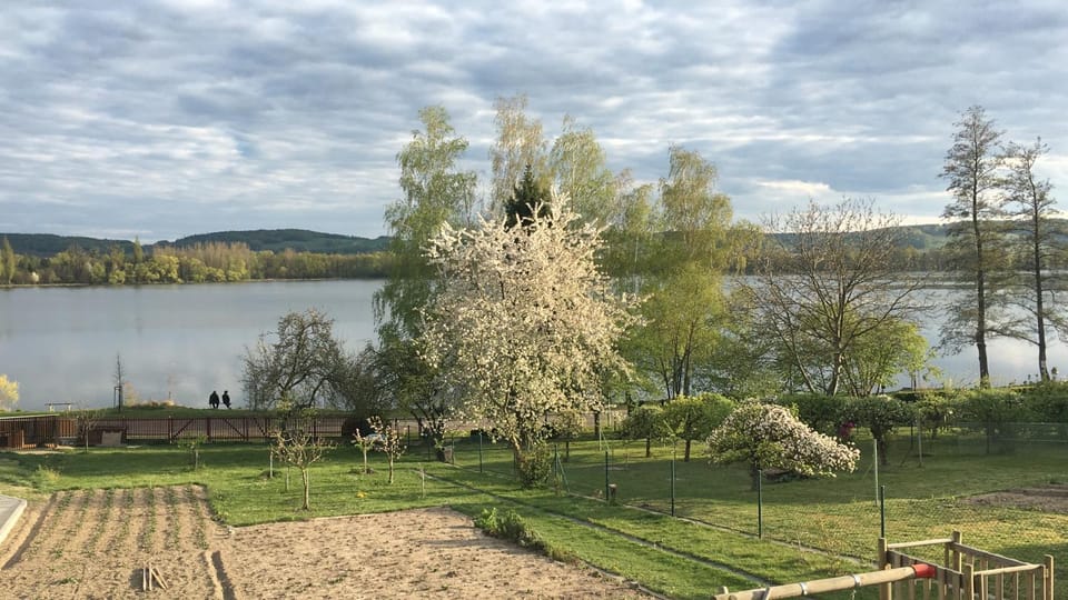 Lake view