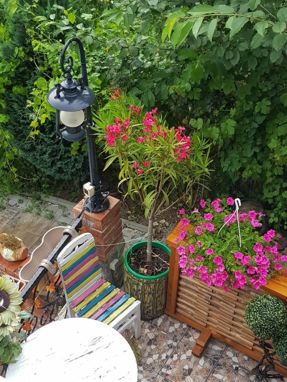 Barbu Ionel House in Serbia