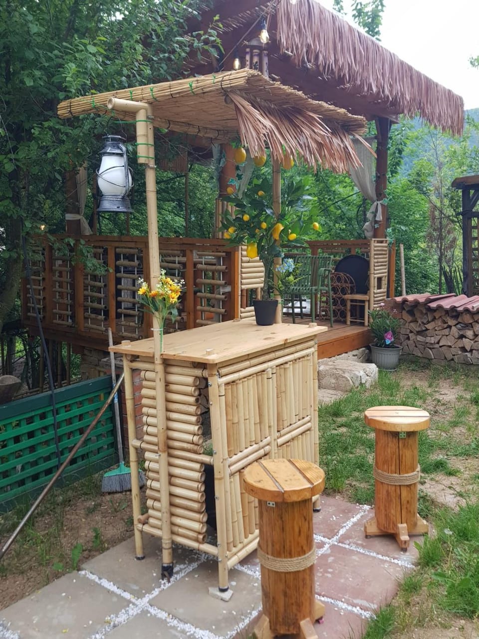 Barbu Ionel House in Serbia