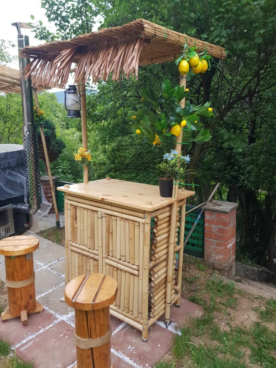 Barbu Ionel House in Serbia