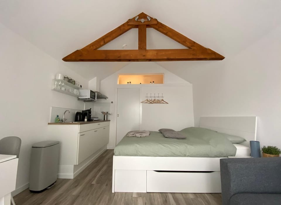 Het Krabbehuisje Apartment in Zandvoort