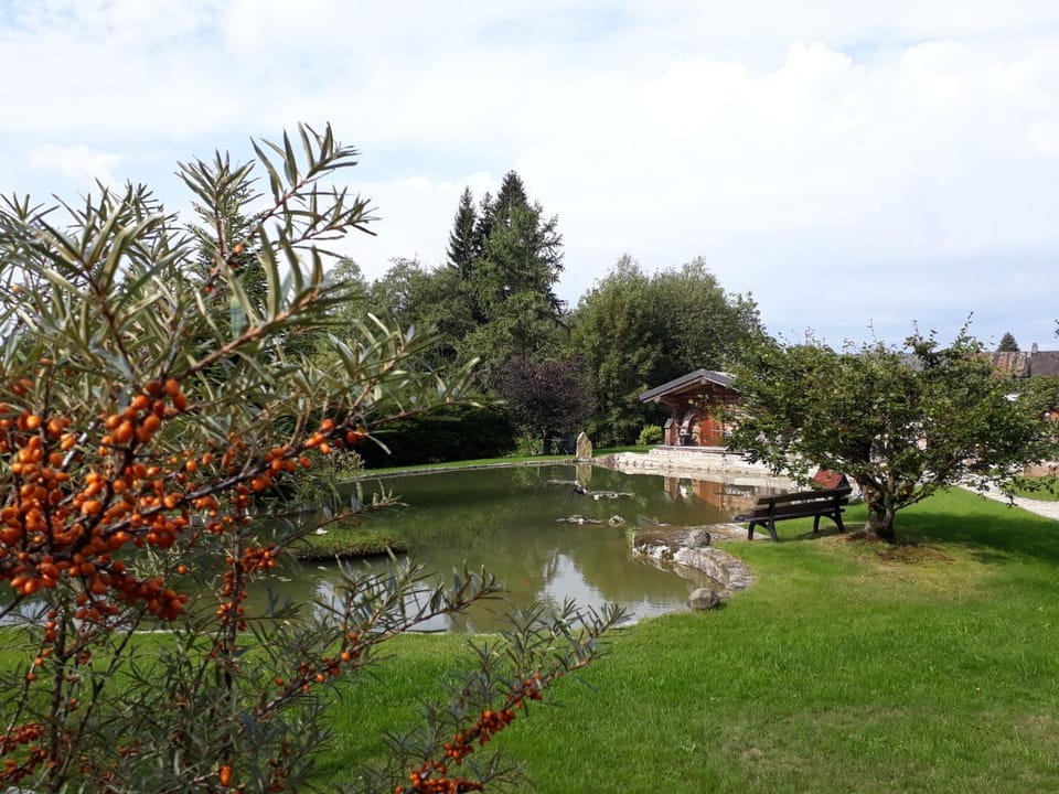 Garden, Garden view