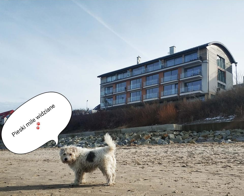 Property building, Day, Beach, Pets