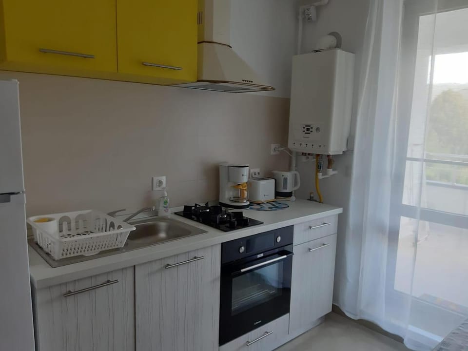 DORIN COLINA MAREI Apartment in Sinaia