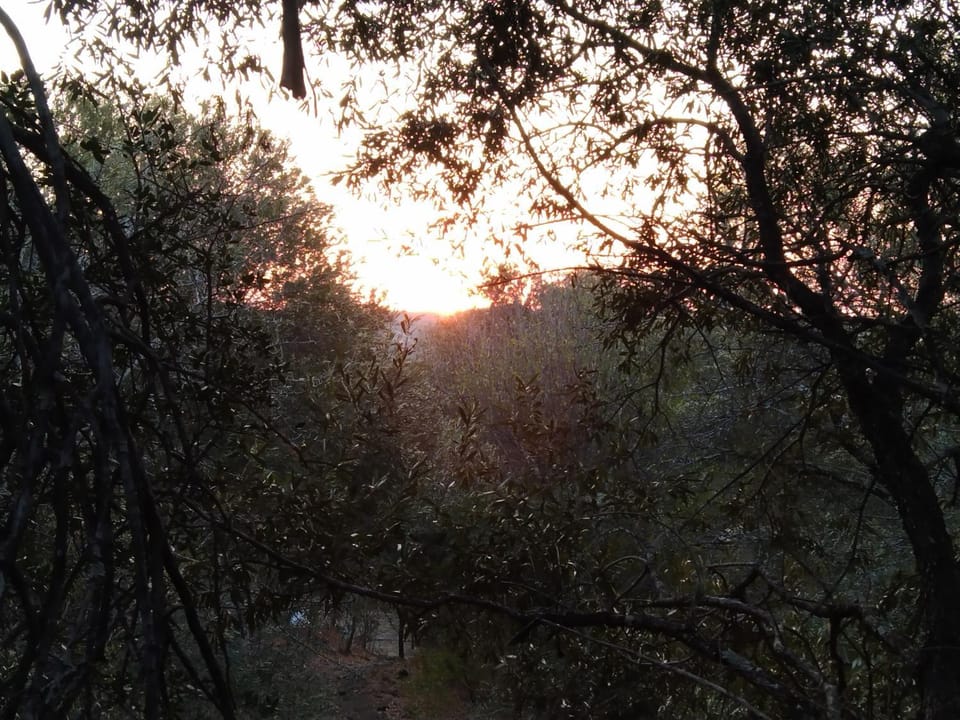 View (from property/room), Mountain view