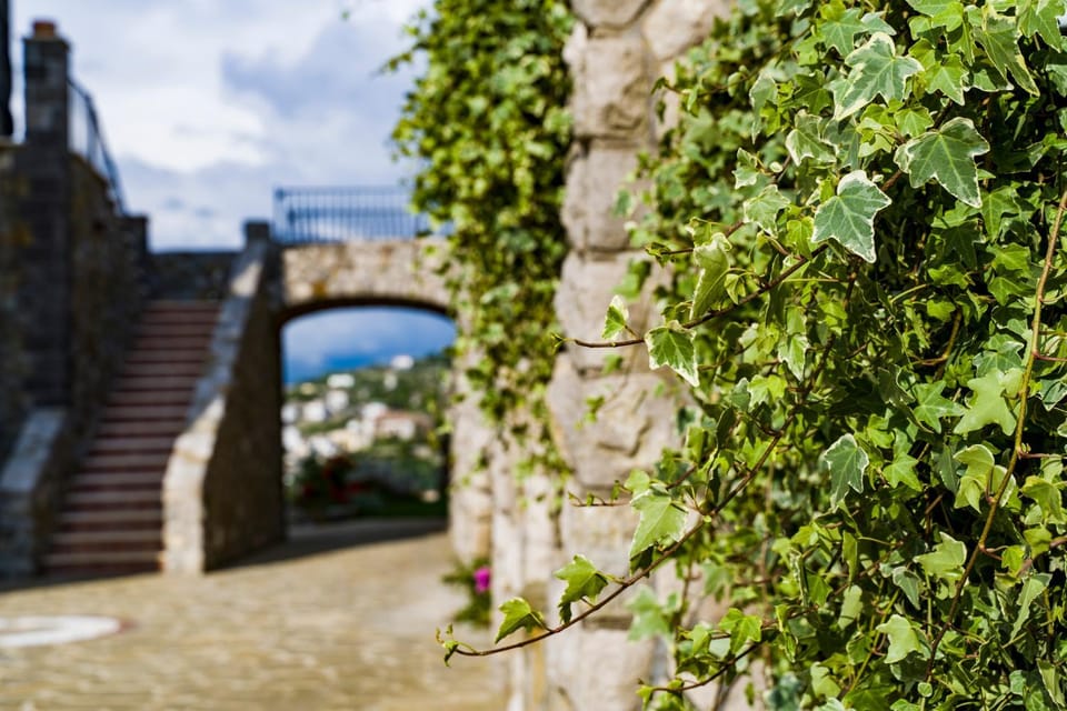 Agriresort Villa Edera Bed and Breakfast in Massa Lubrense