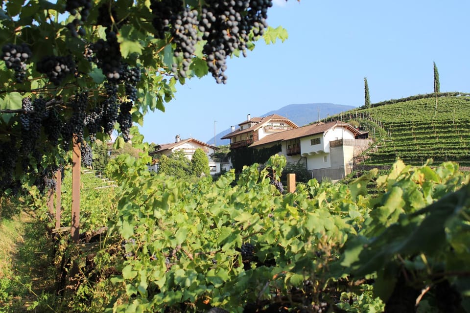 Facade/entrance, Natural landscape, On site, Garden view, Mountain view, Inner courtyard view