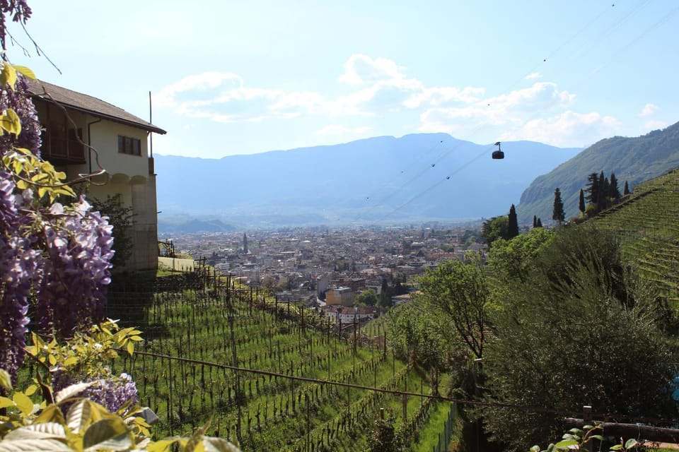 Garden, On site, City view, Garden view, Landmark view, Mountain view, Street view, Quiet street view, Inner courtyard view