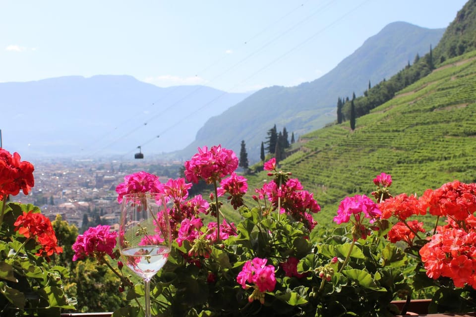 Natural landscape, Balcony/Terrace, On site, City view, Garden view, Landmark view, Mountain view, Inner courtyard view