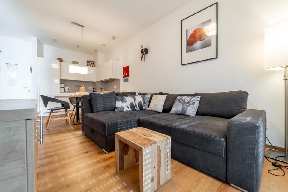 Living room, kitchen