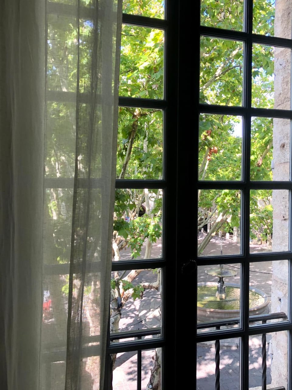 Garden, View (from property/room), Garden view