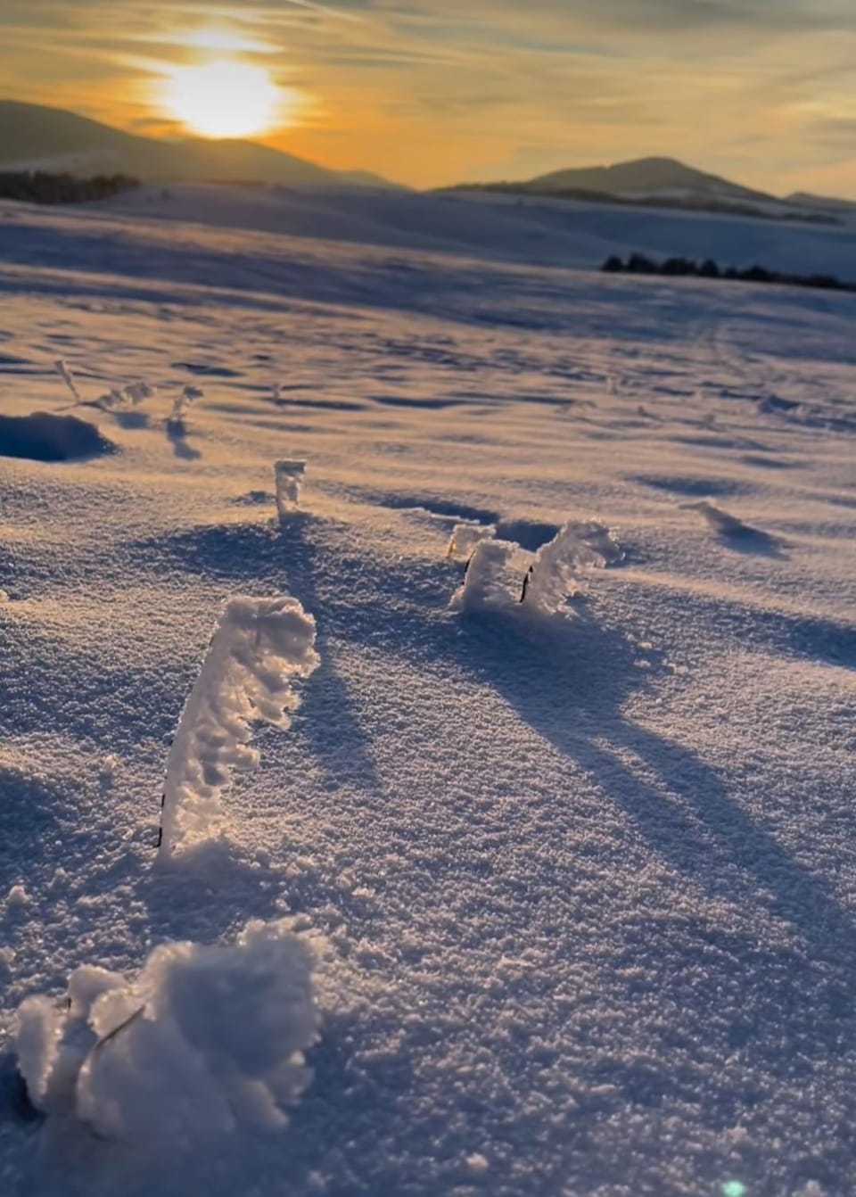 Zlatibor Hills Royal Apartment in Zlatibor