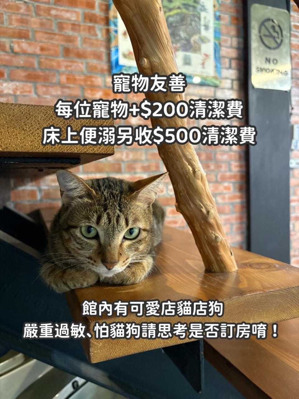 Pets, pet friendly