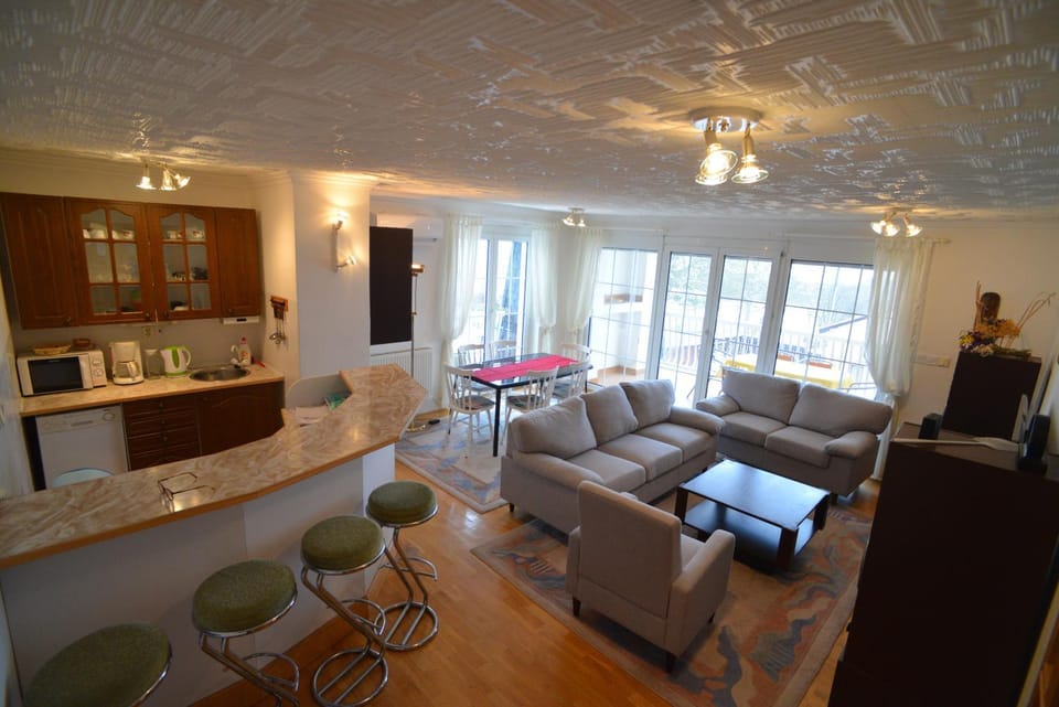 Living room, kitchen
