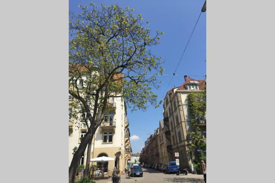 Altbauwohnung am Gutenbergplatz Apartment in Karlsruhe