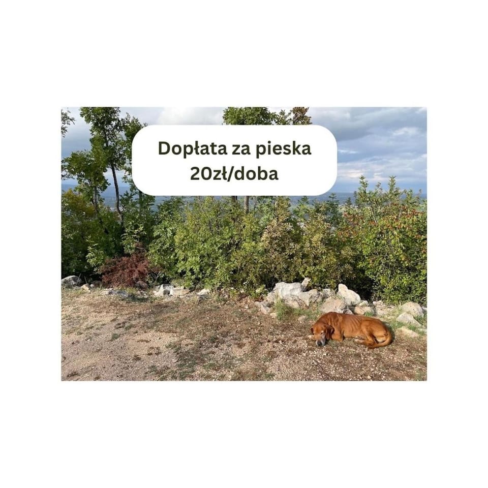 Łąkowa Dolina - domek letniskowy House in Belarus