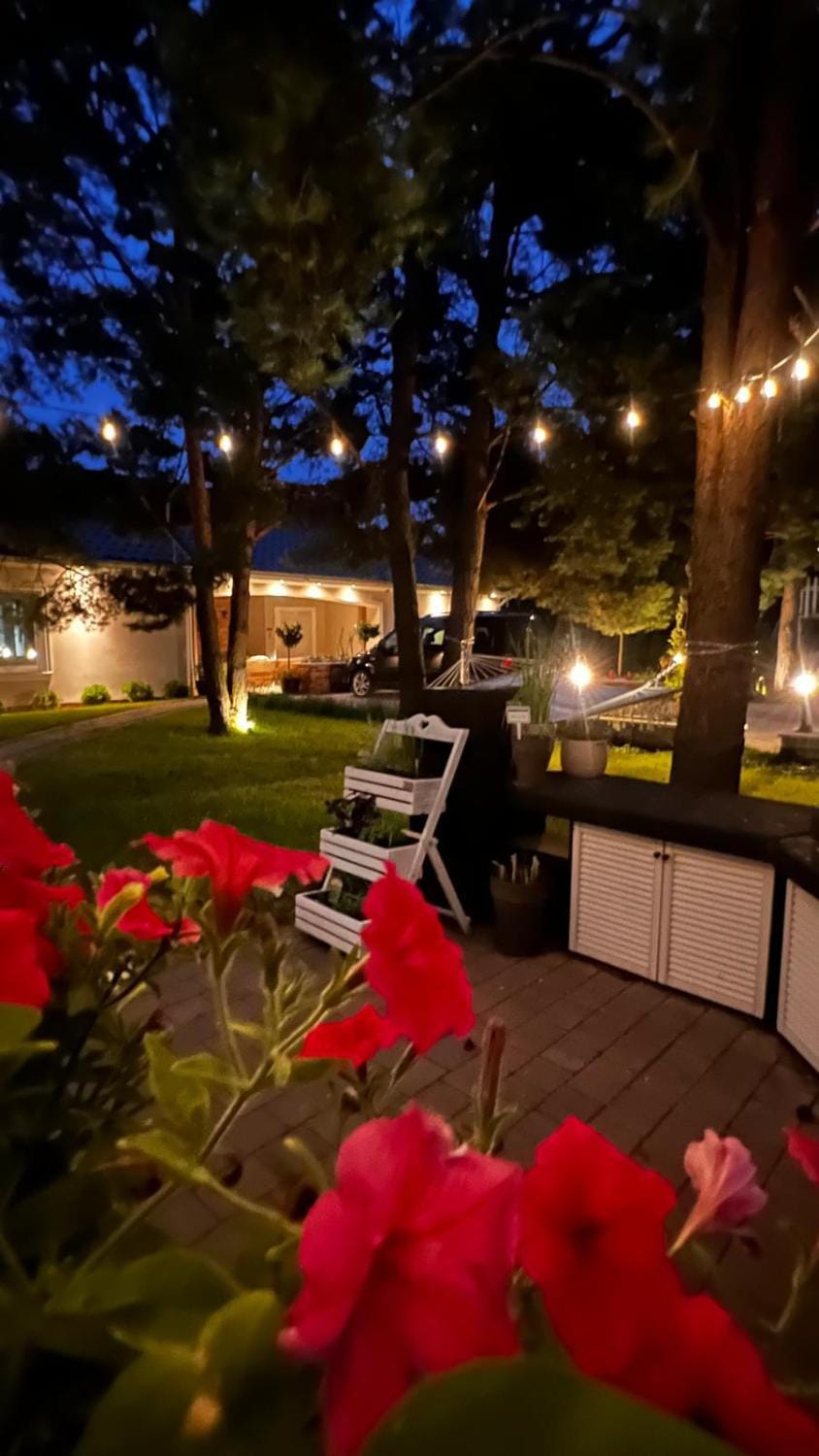 Property building, Night, BBQ facilities, Garden, View (from property/room), Balcony/Terrace, Evening entertainment, Garden view