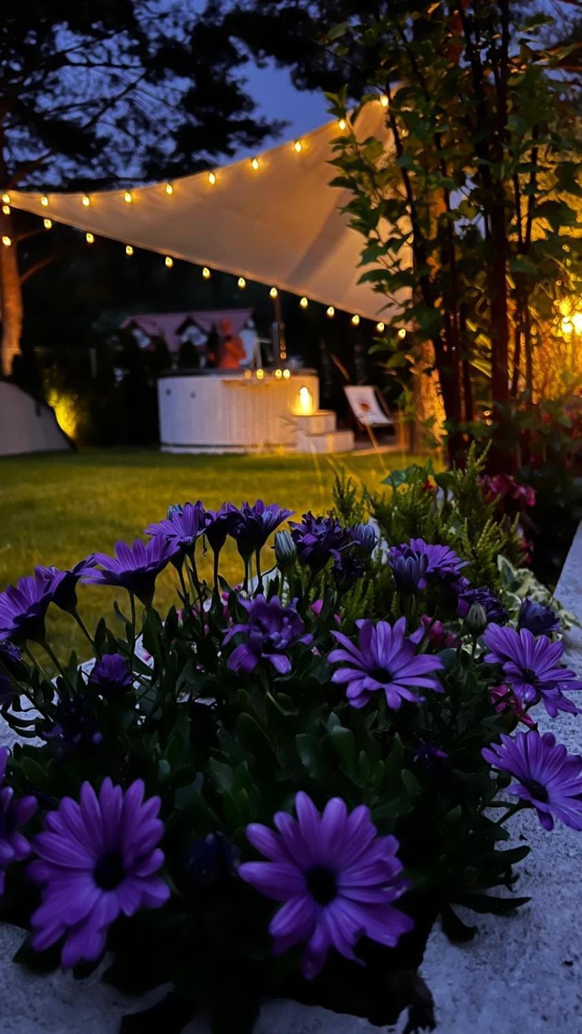 Night, Summer, Garden, Hot Tub, View (from property/room), Garden view