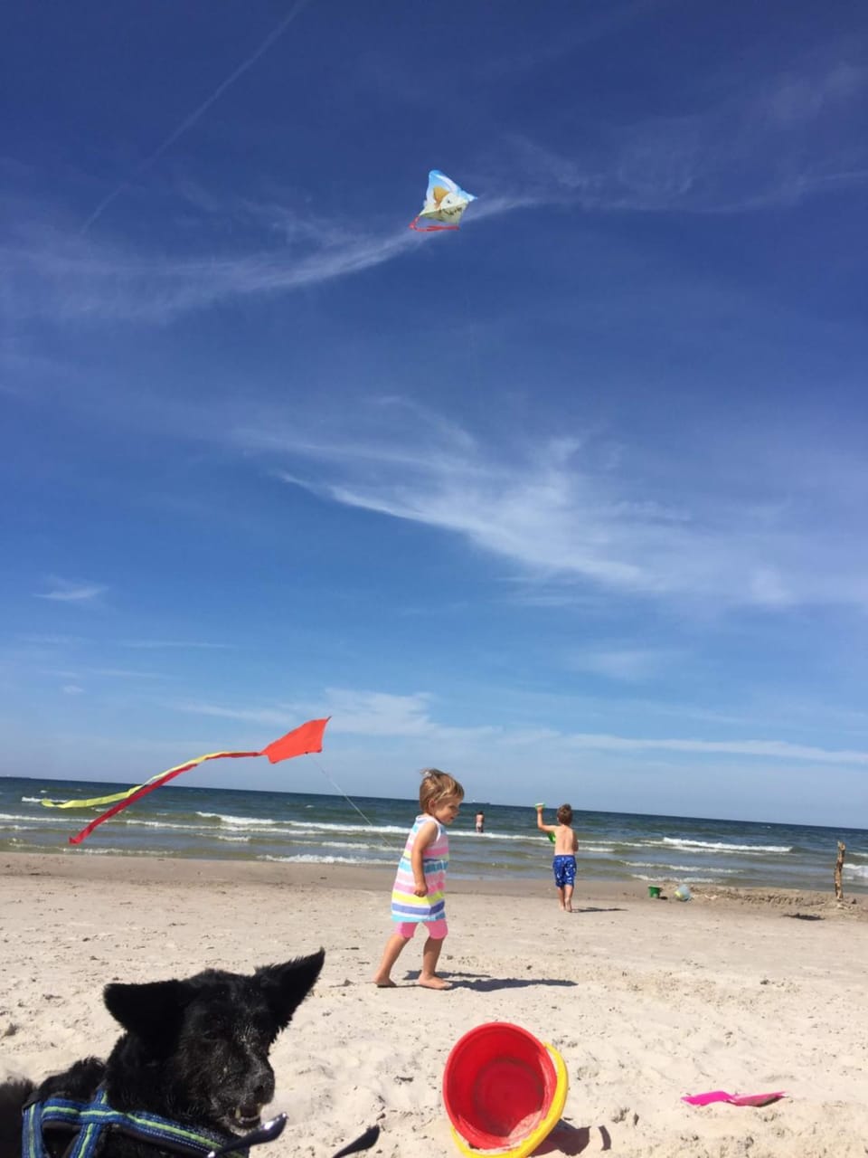 Off site, Day, Summer, Beach