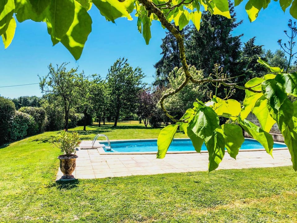 Garden, Garden view, Pool view, Swimming pool