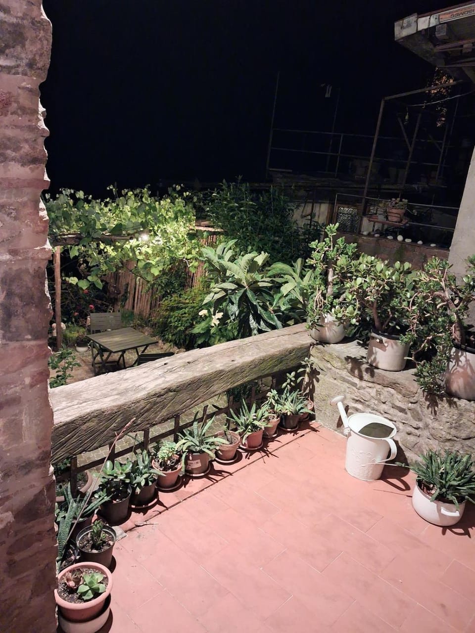 Night, Garden, Garden view
