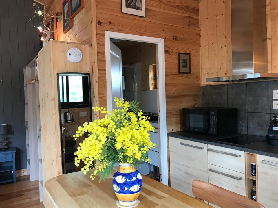 Kitchen or kitchenette, minibar, pet friendly, stove