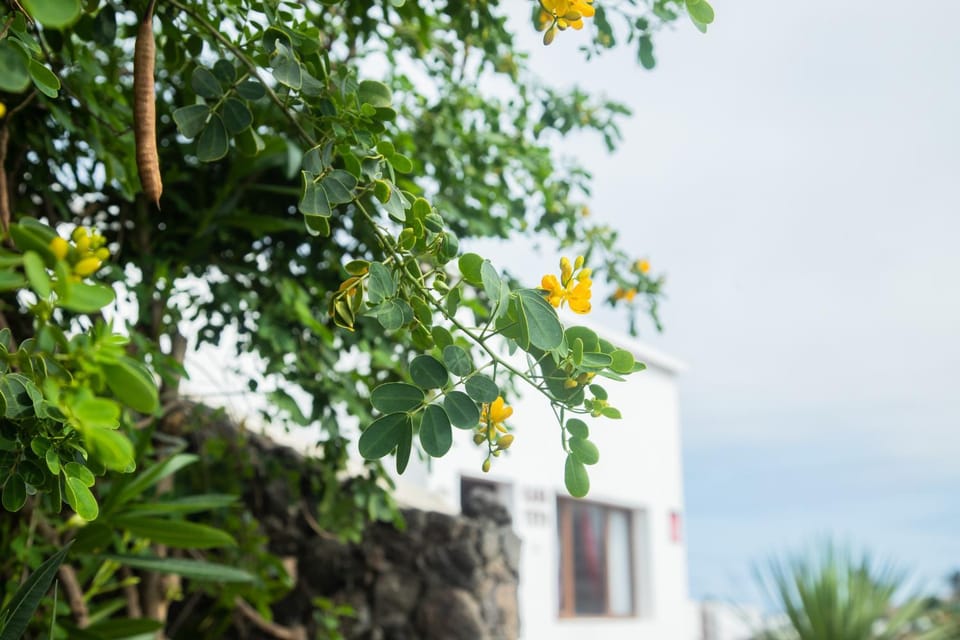 Casa Rural Yeyo en el cráter del volcán House in Isla de Lanzarote