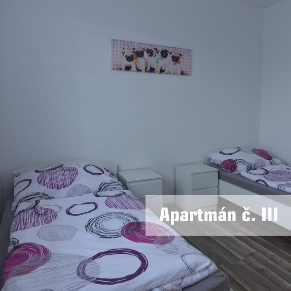 Apartmány U koupaliště Apartment in South Moravian Region