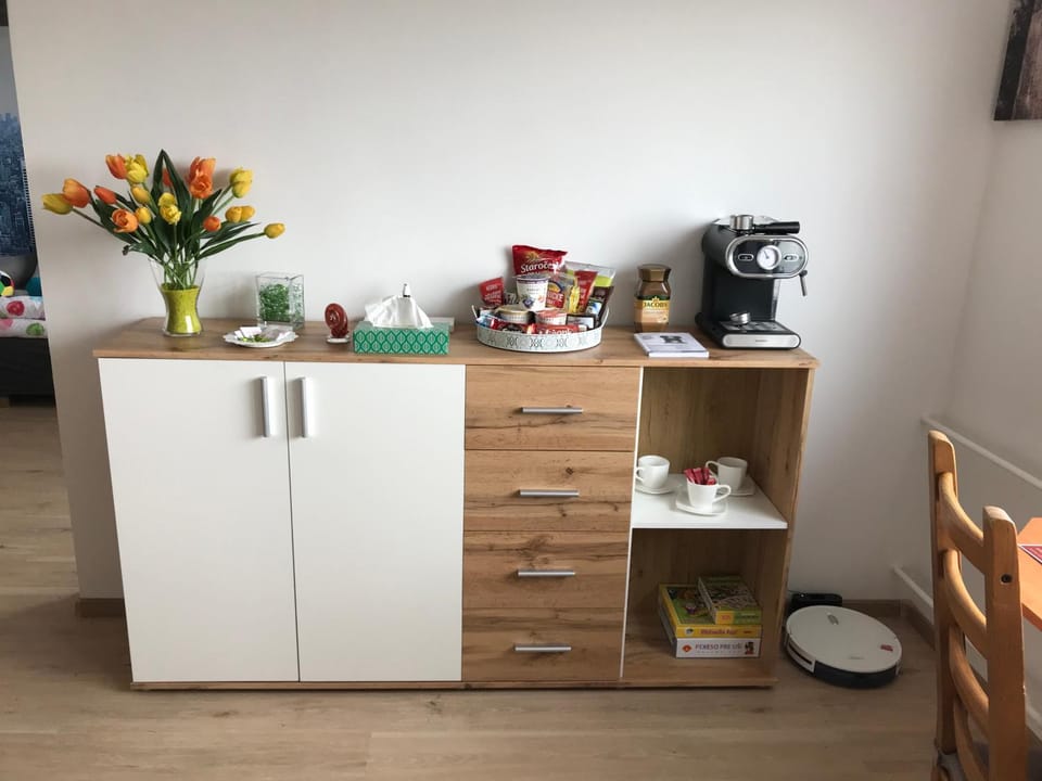 Apartman Q11 Apartment in Saxony