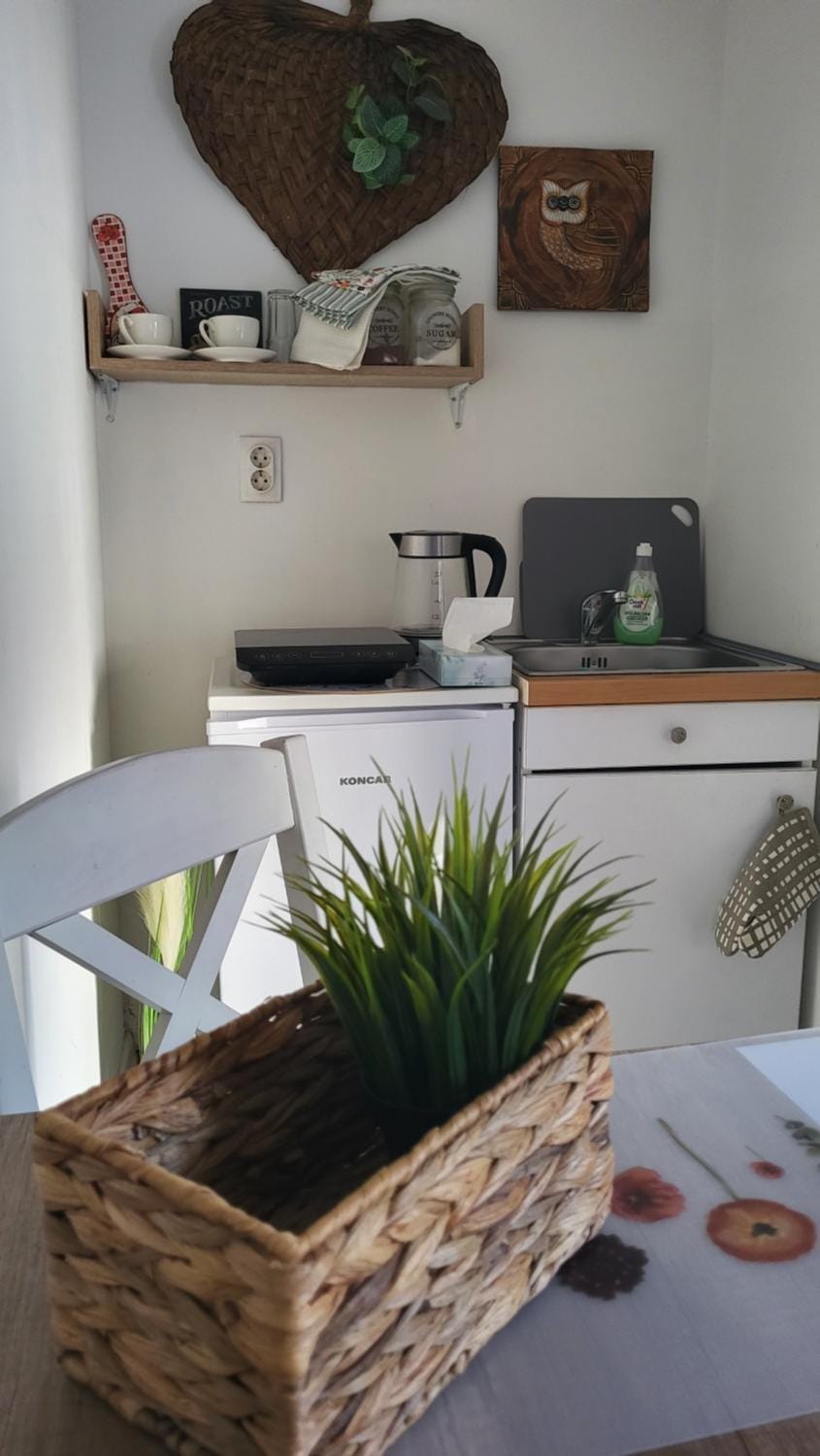 Studio Milica Apartment in Serbia