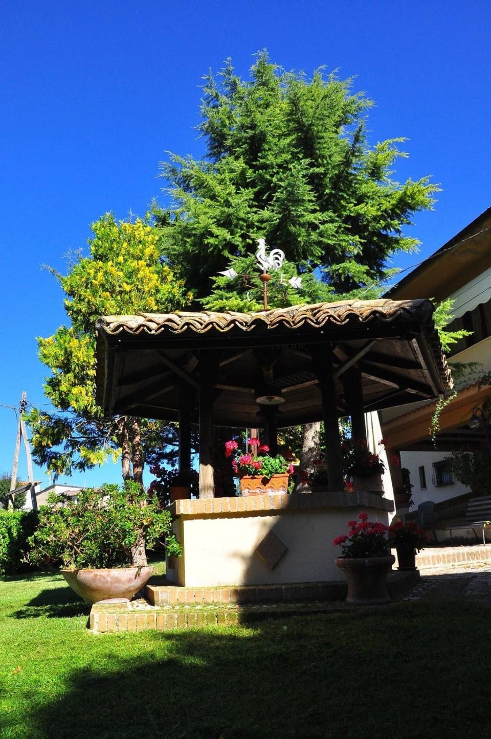 Garden view