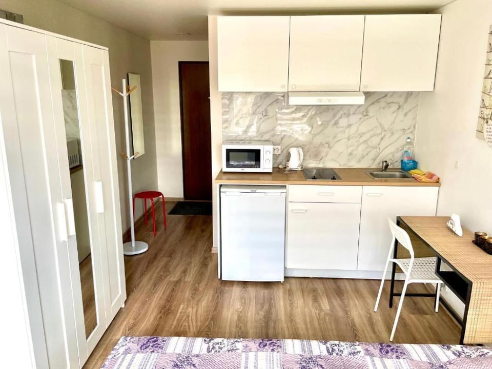 Taikos Studio 5 Apartment in Klaipėda