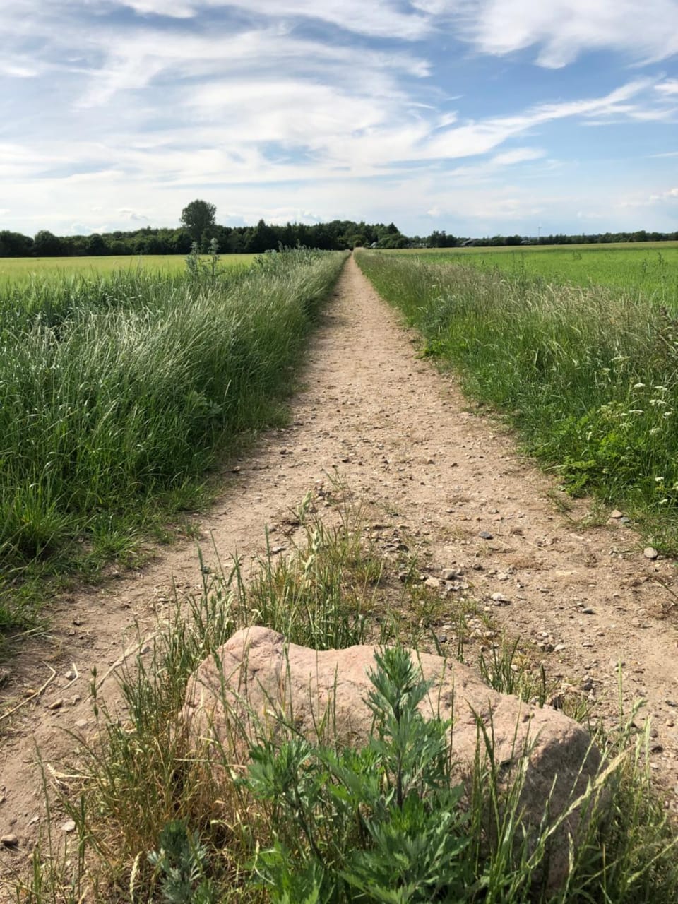 Natural landscape, Hiking