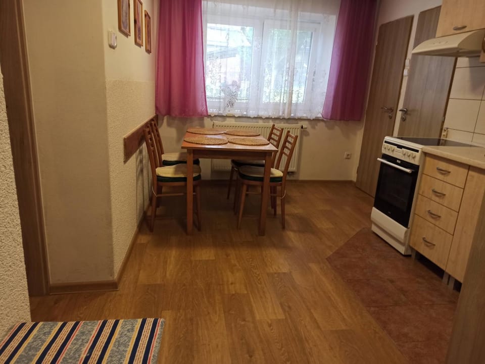 Kitchen or kitchenette, kitchen