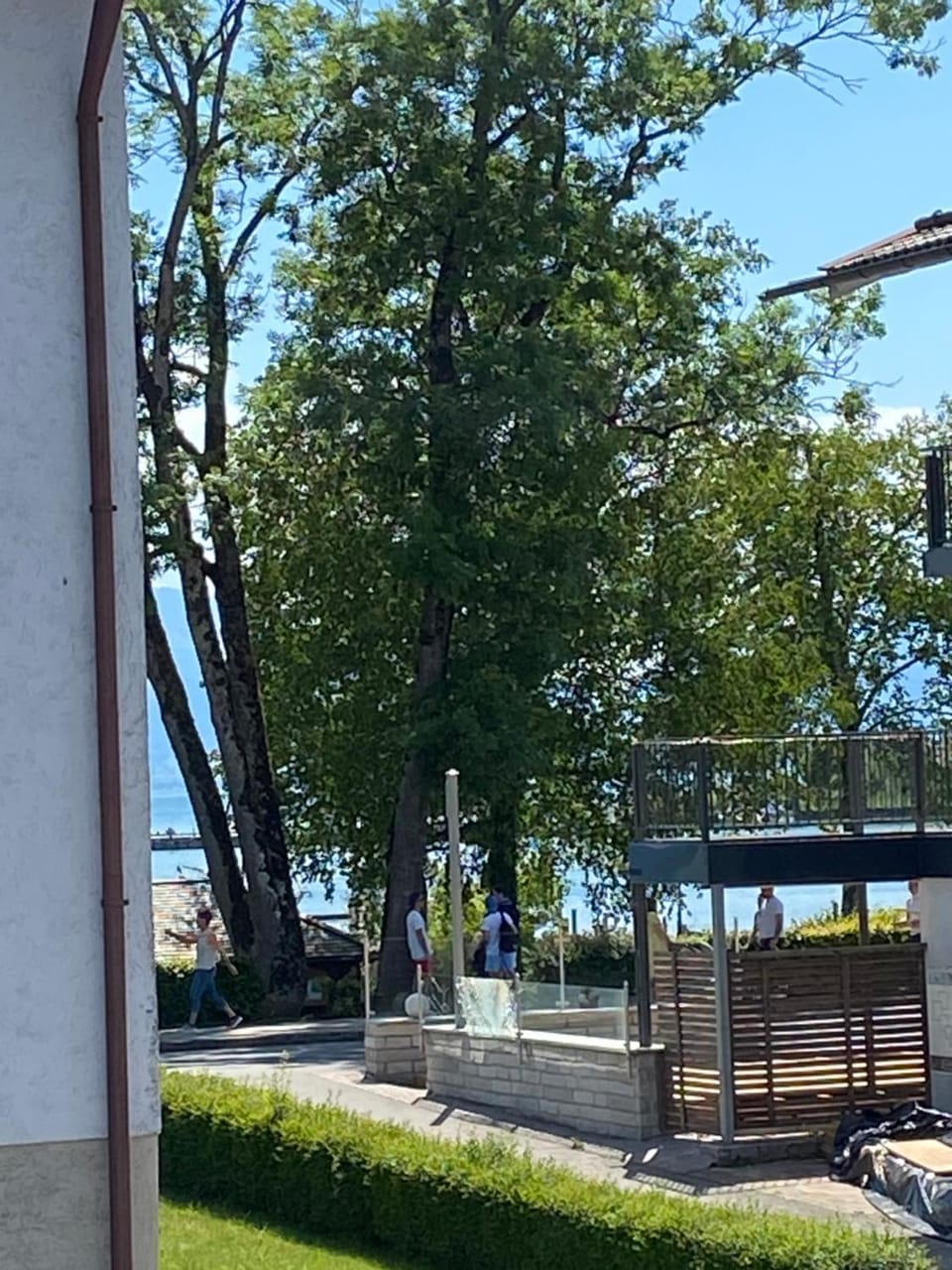 Lake view