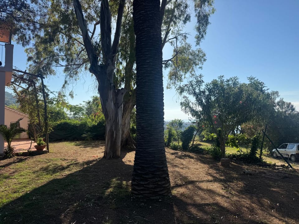 Natural landscape, Garden view
